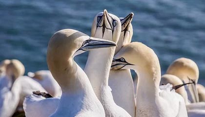 德宏最新的高价医保卡惠民保险代扣怎么取消掉了方法分享(德宏惠民医保怎么报销教程)